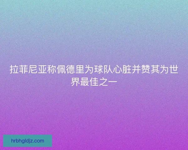拉菲尼亚称佩德里为球队心脏并赞其为世界最佳之一 拉菲尼亚称佩德里为球队心脏并赞其为世界最佳之一